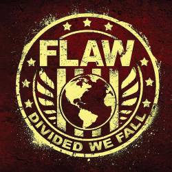 Flaw : Divided We Fall